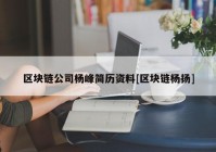 区块链公司杨峰简历资料[区块链杨扬]